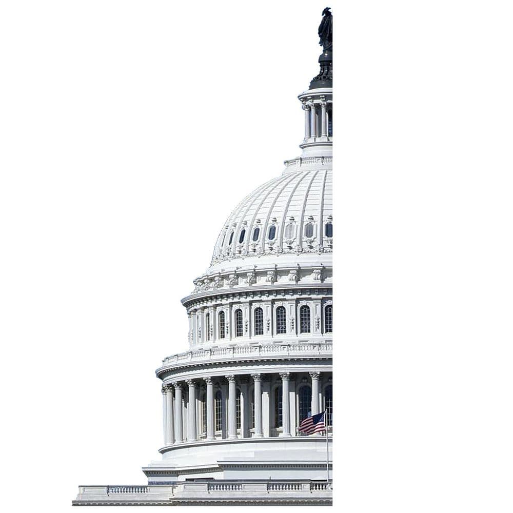 Capitol Inquiry, Private Investigator in Washington DC