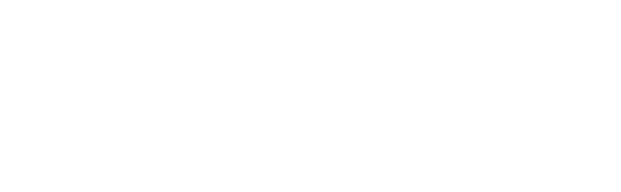 Capitol Inquiry, Private Investigator in Washington DC