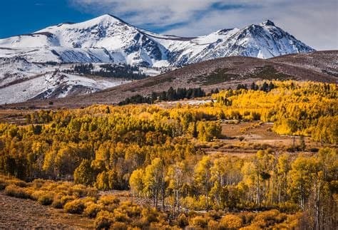 BBG Process Service, Process Server in Bishop California