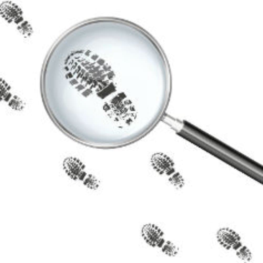 Burgess Investigations and Associates, Private Investigator in Columbia South Carolina