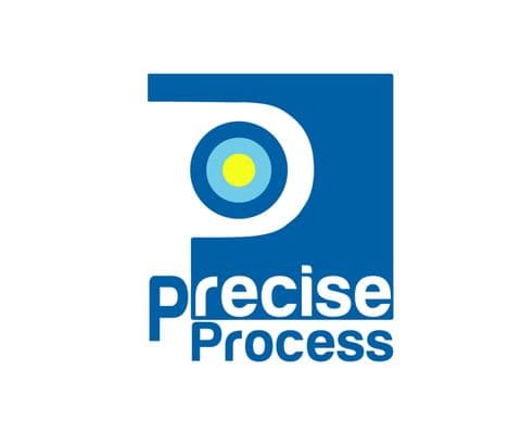Precise Process, Private Investigator in Jonesboro Georgia