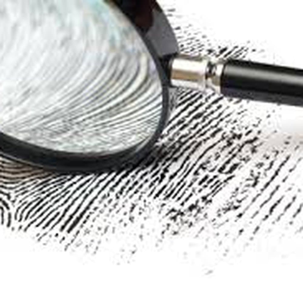 Boobie Trap Investigations, Private Investigator in Houston Texas