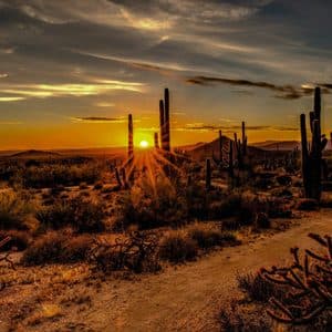 Serving Maricopa Area