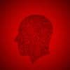Carlson Investigations, Private Investigator in Evanston Illinois