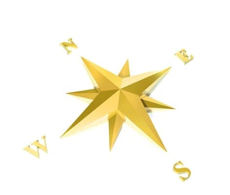 Gold Compass, Private Investigator in Clearwater Florida