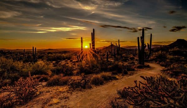 Scope Investigations, Private Investigator in Casa Grande Arizona